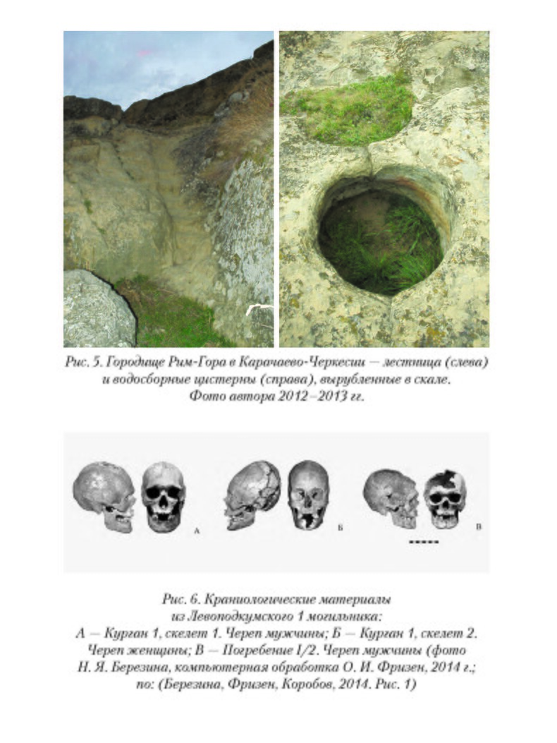 Археология и палеогенетика