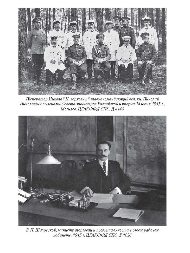 Поткина И. В., «В преддверии катастрофы. Государство и экономика России в 1914–1917 годах»